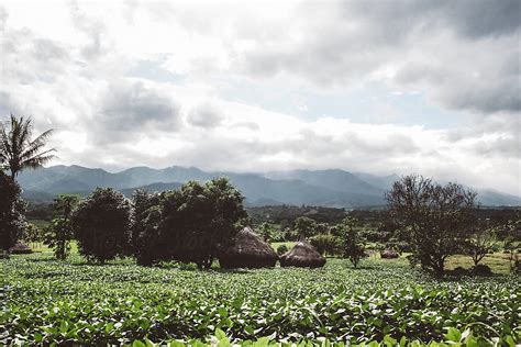 View In Thailand By Stocksy Contributor Sophia Van Den Hoek Stocksy