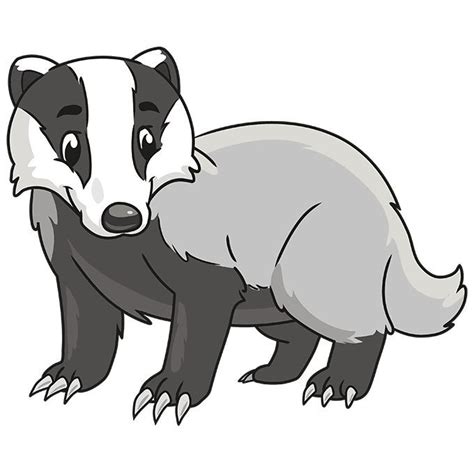 How to Draw a Badger - Really Easy Drawing Tutorial | Badger ...