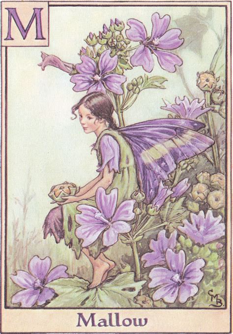 From A Flower Fairy Alphabet 1934 By Cicely Mary Barker Fairy Art