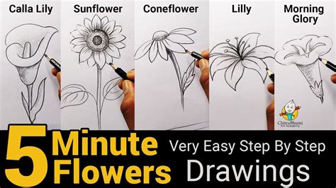 How To Draw 5 Flowers In Five Minute Very Easy Simple Drawing Step