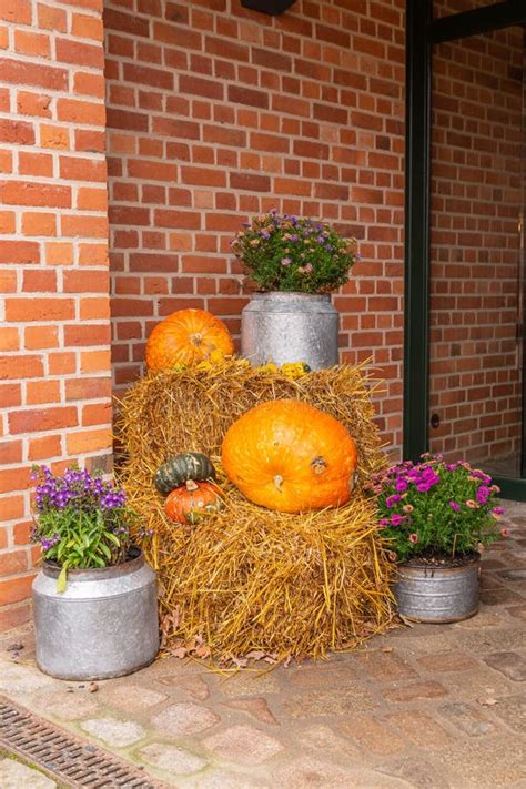 Decorative Pumpkins From The Golden Autumn Harvest Festival Stock Photo