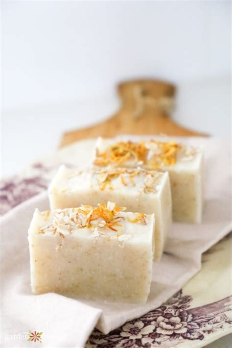 Oatmeal Soap Recipe: Naturally Relieve Dry, Itchy Skin - Garden Therapy