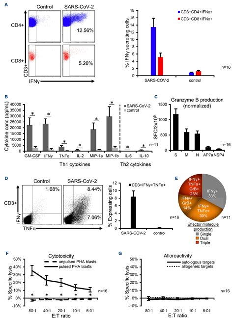 Allogeneic Off The Shelf Sars Cov 2 Specific T Cells Alvr109 For