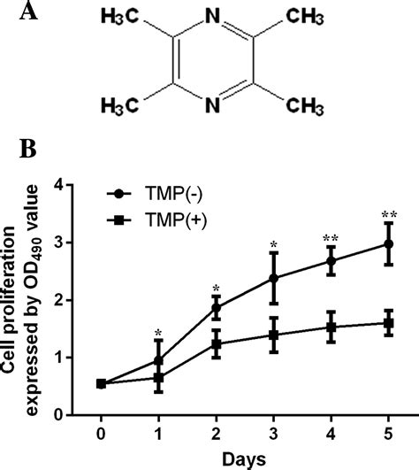 Tetramethylpyrazine Promotes Sh Sy Y Cell Differentiation Into Neurons