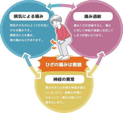 変形性膝関節症の痛みの原因‧メカニズムについて ひざ痛いjp