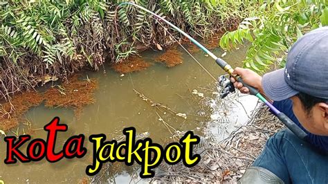 Pemancing Ini Tidak Menyangka Spot Air Tenang Ini Hanya Di Huni Ikan