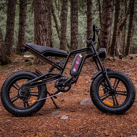 Windone E2 Fat Tire Off Road Urban Commuter Electric Bike