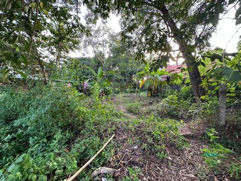 Residential Land For Sale In Varkala Near Varkala Kerala India