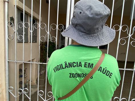 Saiba Quais São As Ações De Combate à Dengue Em Sorocaba E Como