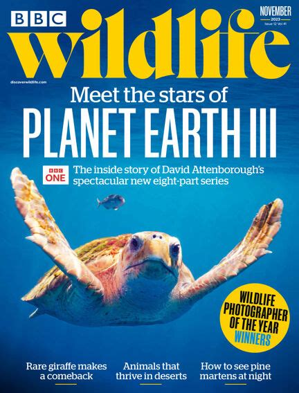 19 October 2023 - BBC Wildlife Magazine - 1000's of magazines in one app