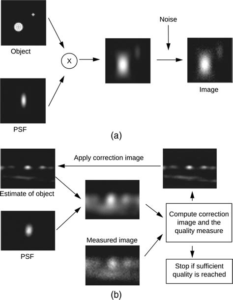 Huygens STED Deconvolution Increases Signal To Noise And Image