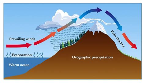 Diagram Over How Much Water When It Rains Cyclonic Precipita