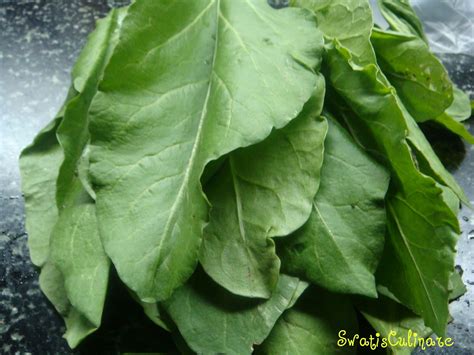 Foodsz Palak Spinach Paratha