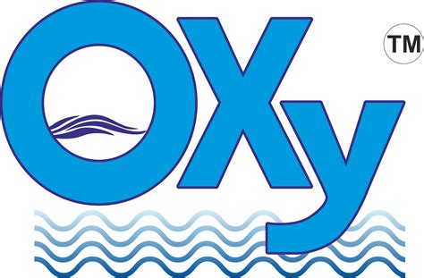 wholesaler  swimming pool accessories fountain nozzle  oxy india