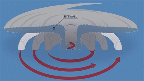 Why a hurricane eyewall is so dangerous | krem.com