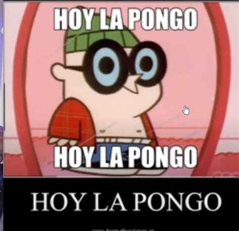 Hoy La Pongo Memes