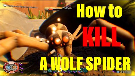 Grounded How To Kill Wolf Spiders Youtube