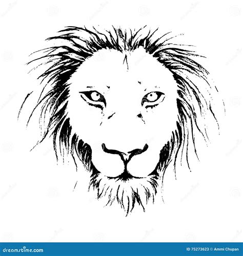 Lion Face Drawing Illustration In Black And White Line Art. Stock ...