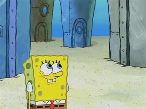 SpongeBuddy Mania SpongeBob Episode Keep Bikini Bottom Beautiful