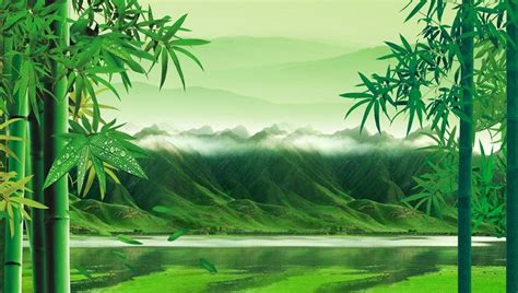 The Landscape Of Bamboo Nature Wall Mural Bamboo Background Background Images Wall Stickers