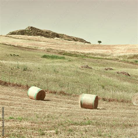 Hay Bales Stock Photo | Adobe Stock