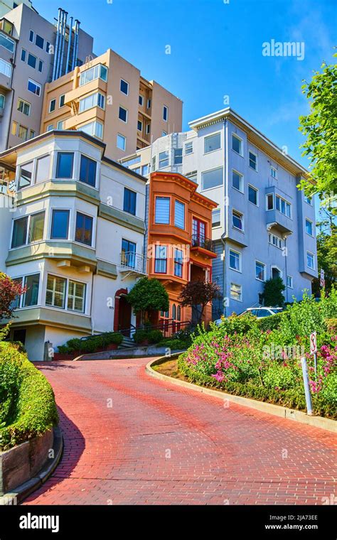 Colorful Homes Lining Lombard Street With Curving Brick Road Stock