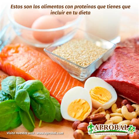 Alimentos Ricos En Proteinas