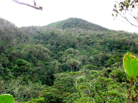 Volcanoes In The Philippines Mt Malinao In Albay Bicol Region