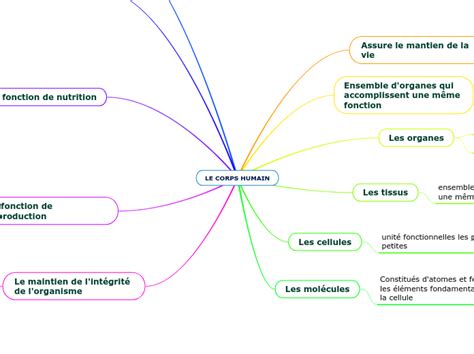 LE CORPS HUMAIN Carte Mentale