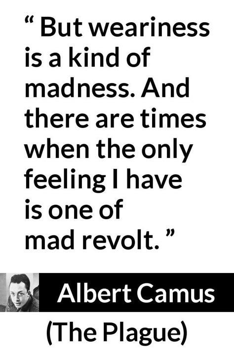 Albert Camus Quote About Madness From The Plague Albert Camus Quotes