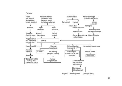 Pathway Diare Pdf