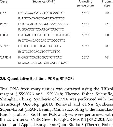 Primer Sequences Used For The Qrt Pcr Analysis Download Scientific