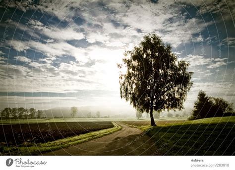 Forest Fire Environment A Royalty Free Stock Photo From Photocase