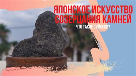 Суйсеки и его использование в бонсай. Японское искусство созерцания ...
