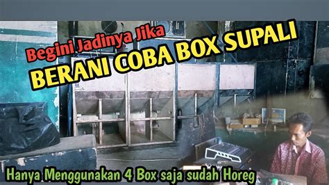 Istimewa Sangat Cocok Untuk Pencinta Horeg Review Box Supali