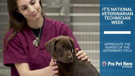 National Vet Tech Week Pro Pet Hero