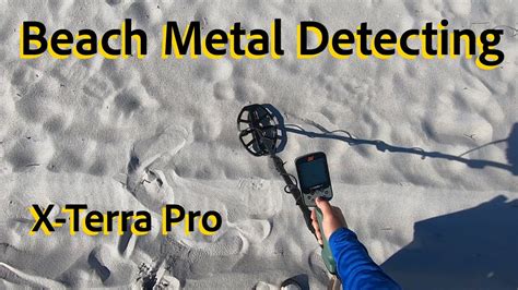 Minelabs X Terra Pro Beach Metal Detecting Live Digs Things To Do In