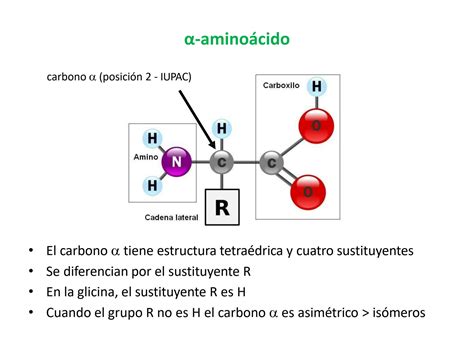 Solution Ejercicios Resueltos De Macromol Culas Bioquimica Studypool