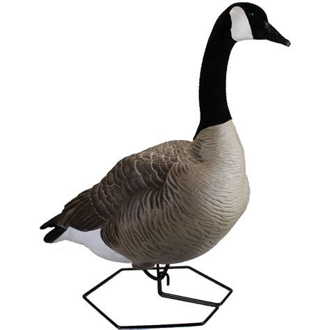 New Full Body Goose Decoys - Explore Beavertail