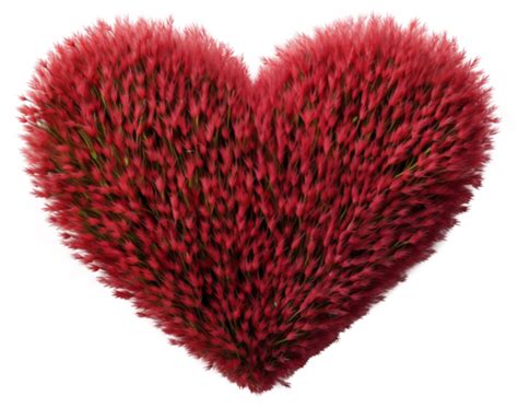 Brush Heart Pngs For Free Download