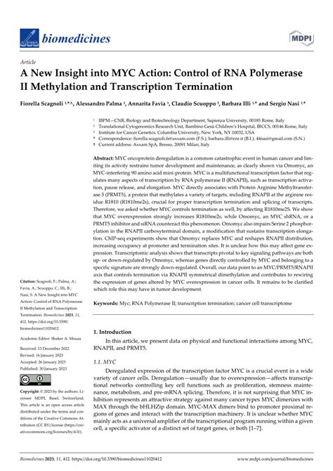 Pdf A New Insight Into Myc Action Control Of Rna Polymerase Ii