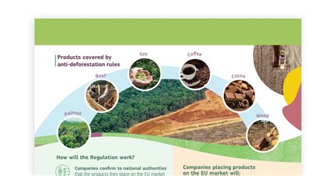 New EU Initiative On Deforestation Could Increase Businesses Due