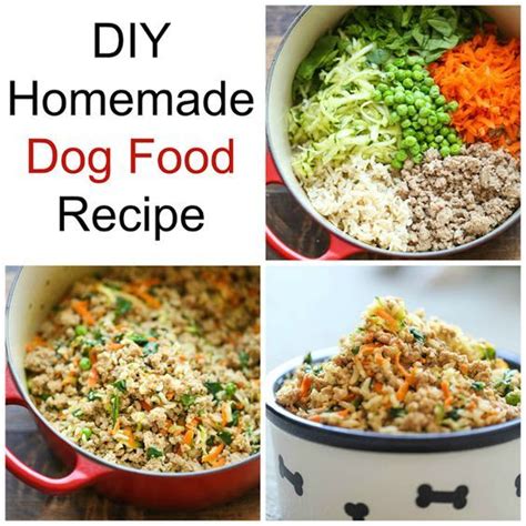 20 Ideas for Homemade Diabetic Dog Food Recipes – Best Diet and Healthy Recipes Ever | Recipes ...