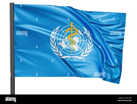 Organización Mundial De La Salud Bandera Nacional De La Oms Ondeando En El Viento Aislado Sobre