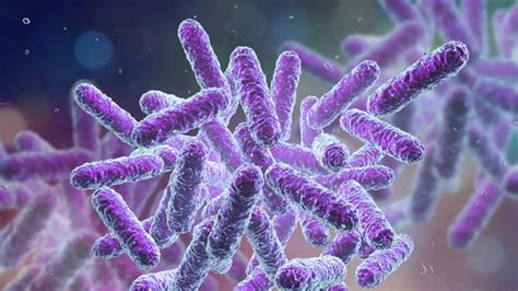 Klebsiella Pneumonia Infection: Symptoms, Causes & Treatment – Entirely ...