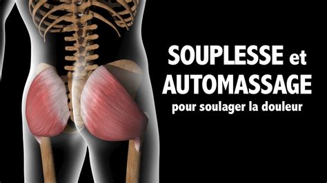 Muscles Fessiers Souplesse Et Automassages Pour Soulager La Douleur