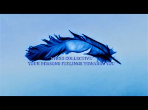 Virgo Collective Your Persons Feelings Towards You Virgo