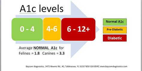 A1C Levels Test Results Chart Diabetes Alert