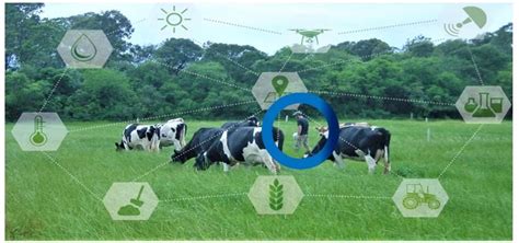 Agricultura Regenerativa Desafios E Perspectivas Futuras Milkpoint