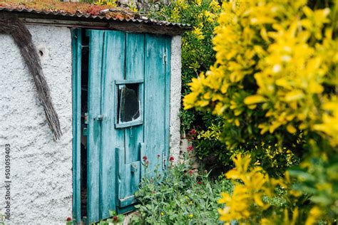 Une Vieille Cabane En Bois Dans Un Jardin Une Vieille Porte Bleue Sur